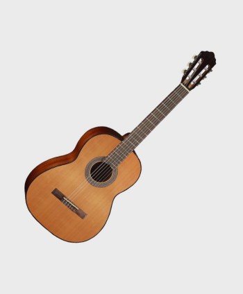 CORT ACOUSTIC GUITAR - AC100-SG