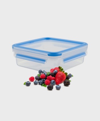 TEFAL MASTERSEAL CONSERVATION BOX 0.85L