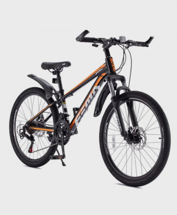 ROYALBABY BIKE ROYALLOY 24"