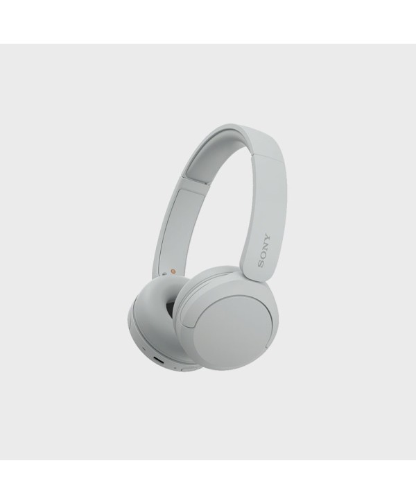 SONY WIRELESS HEADPHONES SONY WIRELESS HEADPHONES