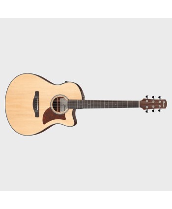  ELECTRO ACOUSTIC GUITAR