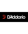 DADDARIO